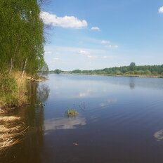 44 сотки, участок - изображение 1