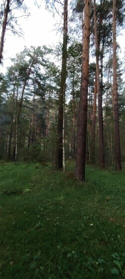 16 соток, участок 10 500 000 ₽ - изображение 29