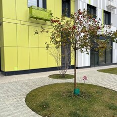 Квартира 43 м², 1-комнатная - изображение 3