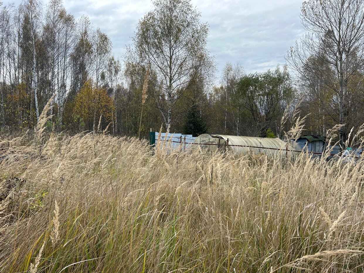 Дом 40 м² в СНТ Багримово — фото 9 из 23