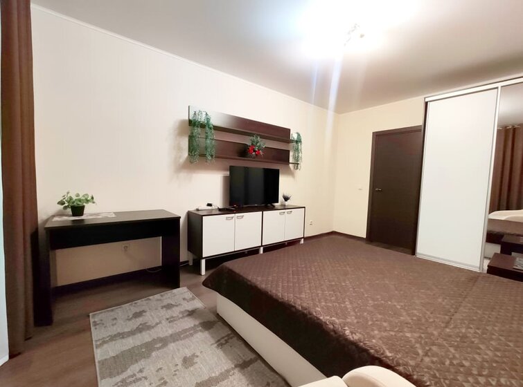 42 м², 1-комнатная квартира 3 300 ₽ в сутки - изображение 32