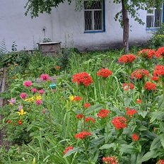 дом + 6 соток, участок - изображение 1