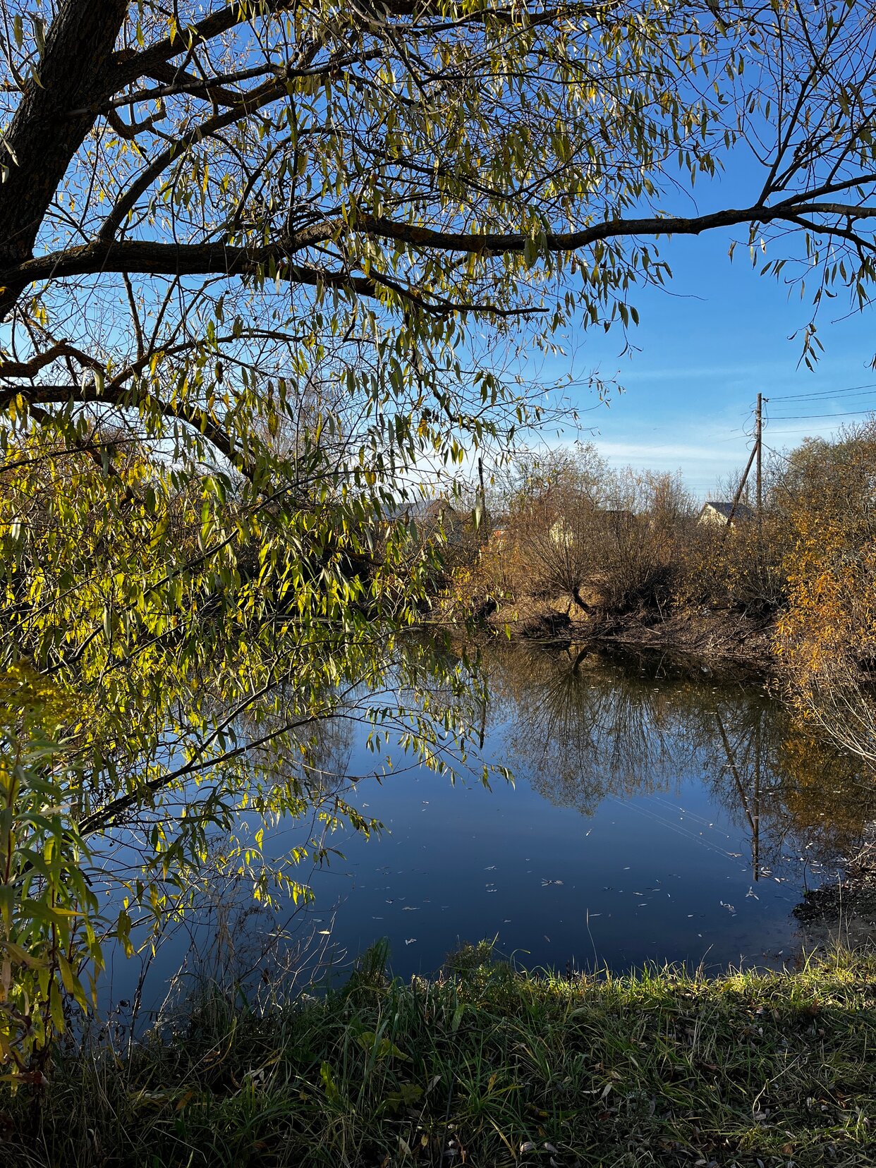 Дом 10 м² в СДТ Ручеёк — фото 18 из 20