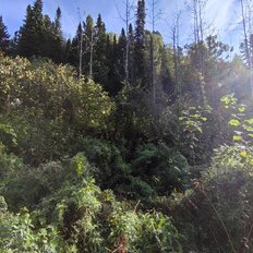 17 соток, участок - изображение 3