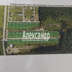 8,8 сотки, участок - изображение 1