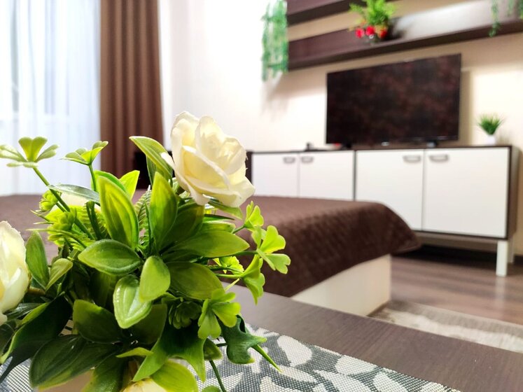 42 м², 1-комнатная квартира 3 300 ₽ в сутки - изображение 29