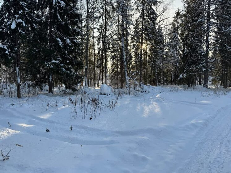 8,8 сотки, участок 1 600 000 ₽ - изображение 40