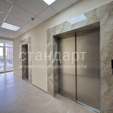 Квартира 33,1 м², 1-комнатная - изображение 4