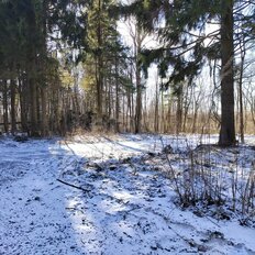 8 соток, участок - изображение 3