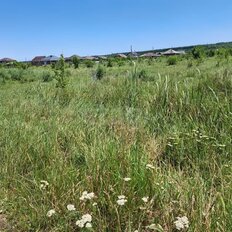 6 соток, участок - изображение 3