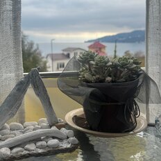 Квартира 40 м², 1-комнатная - изображение 2