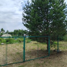 8 соток, участок - изображение 3