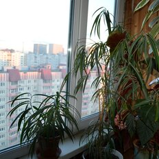 Квартира 82 м², 3-комнатная - изображение 1