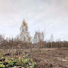 15 соток, участок - изображение 3