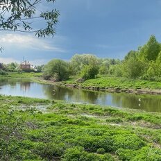 8 соток, участок - изображение 2