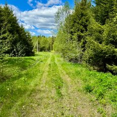 6,2 сотки, участок - изображение 3