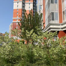 Квартира 101,4 м², 3-комнатная - изображение 2