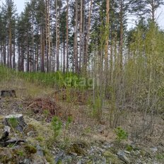 11,5 сотки, участок - изображение 2