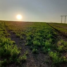 10 соток, участок - изображение 3