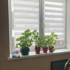 дом + 4 сотки, участок - изображение 5