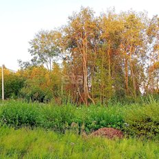 8 соток, участок - изображение 3