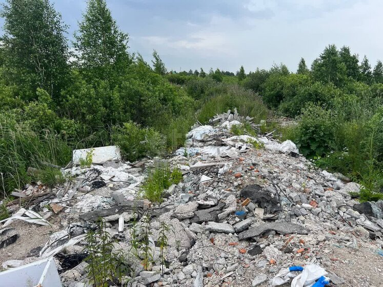 20 соток, участок 3 450 000 ₽ - изображение 42
