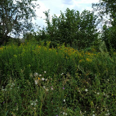 дом + 4 сотки, участок - изображение 2