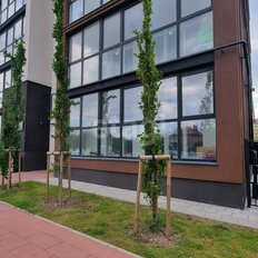 Квартира 34,5 м², 1-комнатная - изображение 4