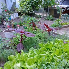 дом + 2 сотки, участок - изображение 1