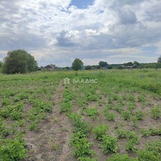 50 соток, участок - изображение 1