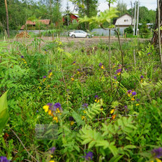 12,6 сотки, участок - изображение 1