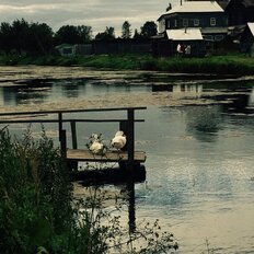 Квартира 68 м², 3-комнатная - изображение 4