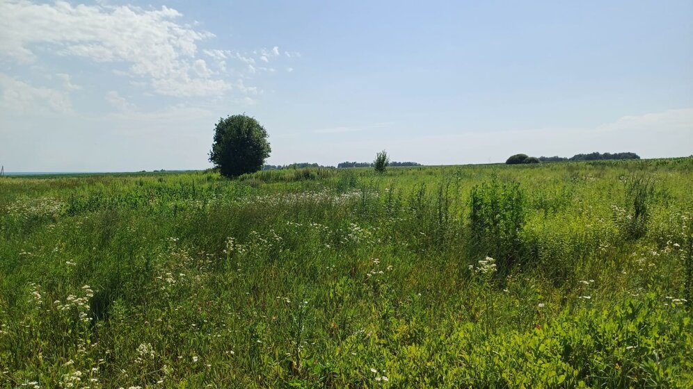 27 соток, участок 900 000 ₽ - изображение 22