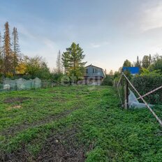 4 сотки, участок - изображение 2