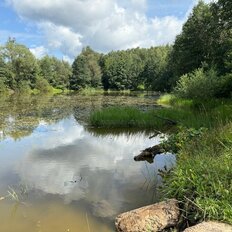 Квартира 55,8 м², 3-комнатная - изображение 3