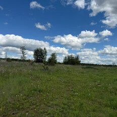 5 соток, участок - изображение 4