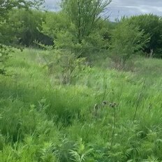 6 соток, участок - изображение 1