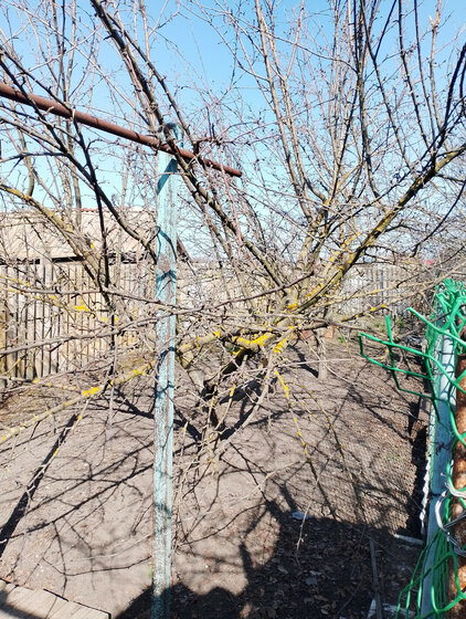 72 м² дом, 9 соток участок 3 000 000 ₽ - изображение 39