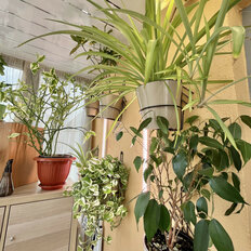 Квартира 50 м², 1-комнатная - изображение 1