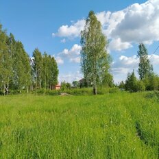 9,8 га, участок - изображение 3