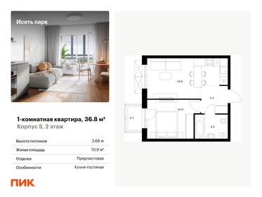 Квартира 36,8 м², 1-комнатная - изображение 1