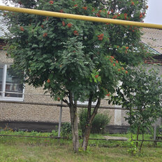 дом + 11,2 сотки, участок - изображение 1