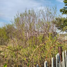 6 соток, участок - изображение 3