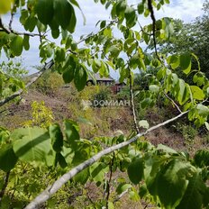 6,5 га, участок - изображение 5