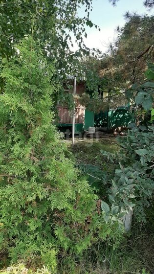 47 м² дом, 3 сотки участок 1 100 000 ₽ - изображение 62