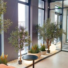 Квартира 50,4 м², 2-комнатная - изображение 3