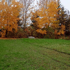 11,7 сотки, участок - изображение 1