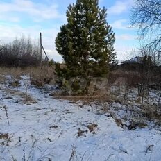 12 соток, участок - изображение 3