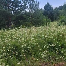 11 соток, участок - изображение 5