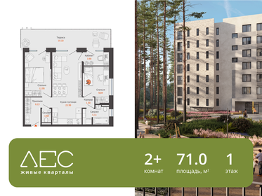 Квартира 71 м², 2-комнатная - изображение 1